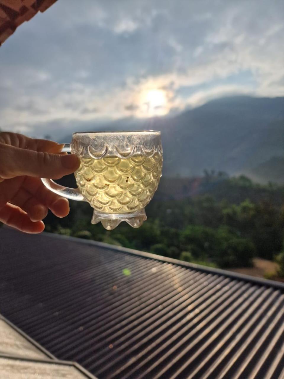 Farm Co Chu Tuan Ha Bed and Breakfast Da Lat Eksteriør billede