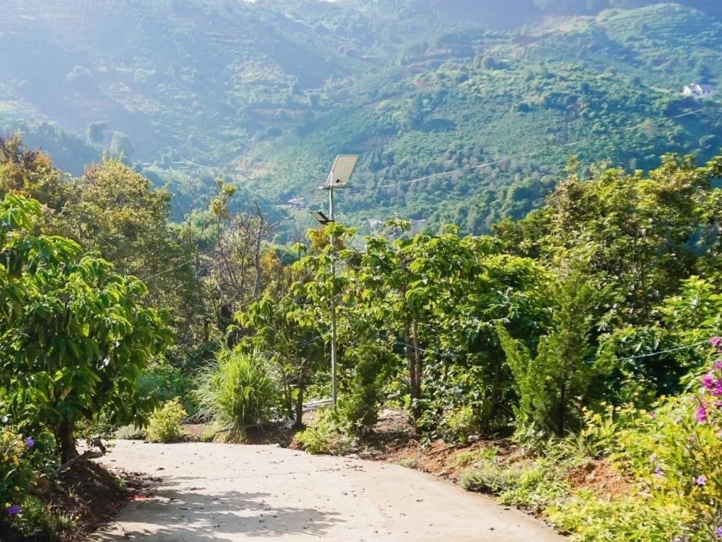 Farm Co Chu Tuan Ha Bed and Breakfast Da Lat Eksteriør billede