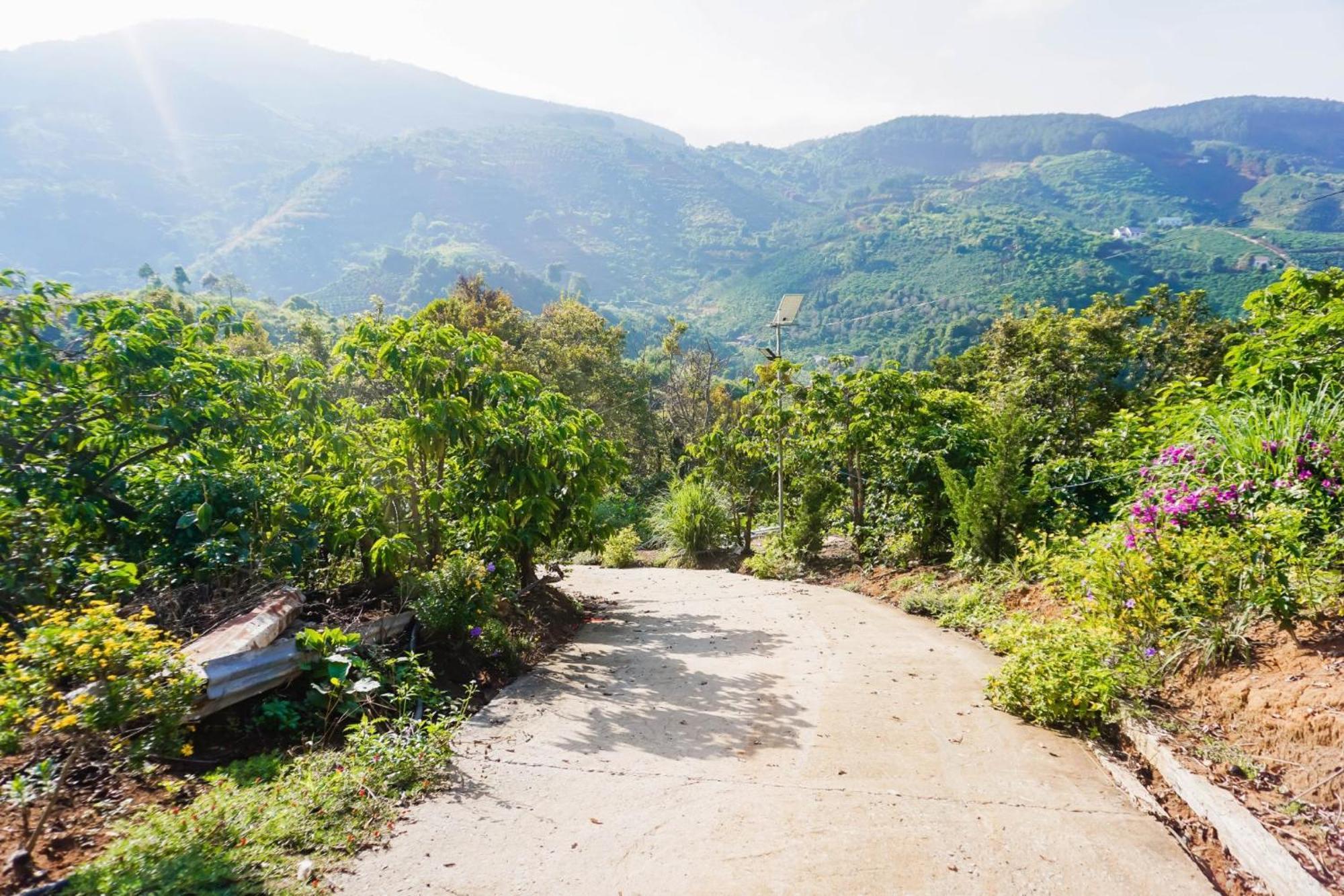 Farm Co Chu Tuan Ha Bed and Breakfast Da Lat Eksteriør billede